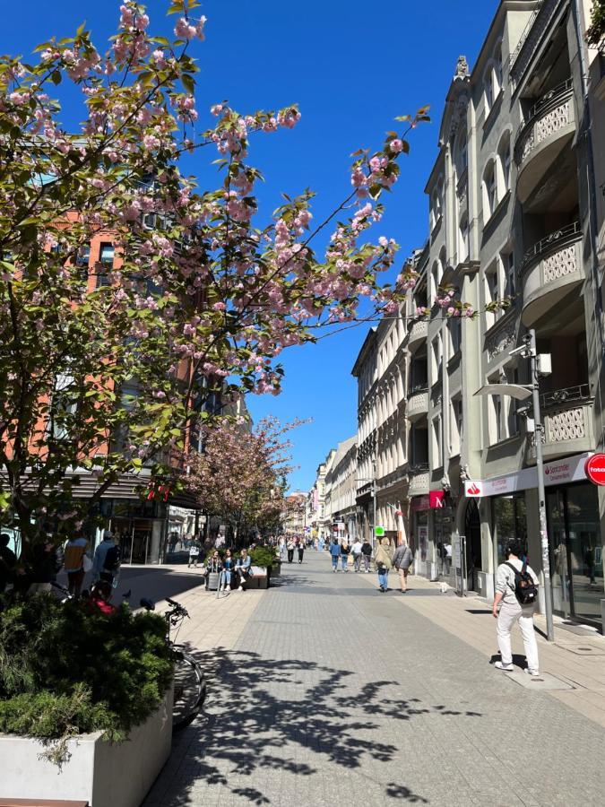 Sloneczny Centrum Poznania Klimatyzacja Wi-fi Tv Zmywarka Pralka Piekarnik *